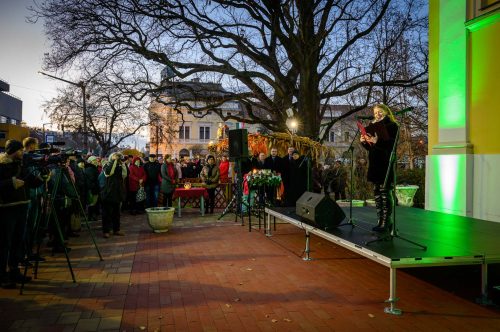 Tekintse meg galériánkat! (1/26)