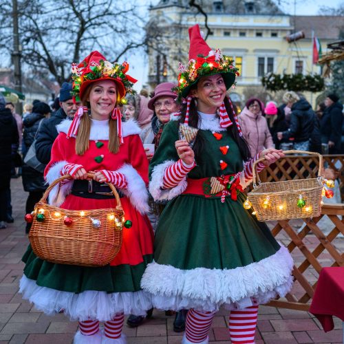 Tekintse meg galériánkat! (1/29)