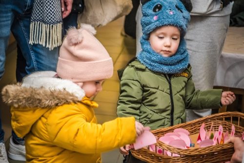 Tekintse meg galériánkat! (1/22)