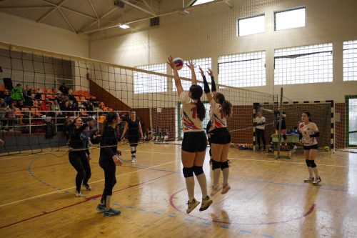 Tekintse meg galériánkat! (1/20)