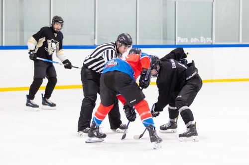 Tekintse meg galériánkat! (1/16)