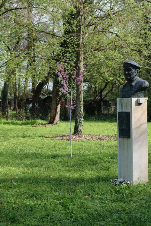 Tekintse meg galériánkat! (1/14)