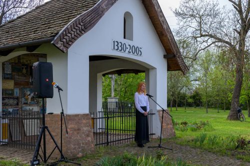 Tekintse meg galériánkat! (1/17)