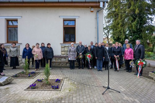 Tekintse meg galériánkat! (1/26)