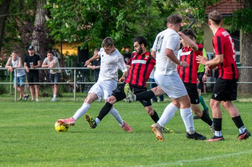 Tekintse meg galériánkat! (1/36)