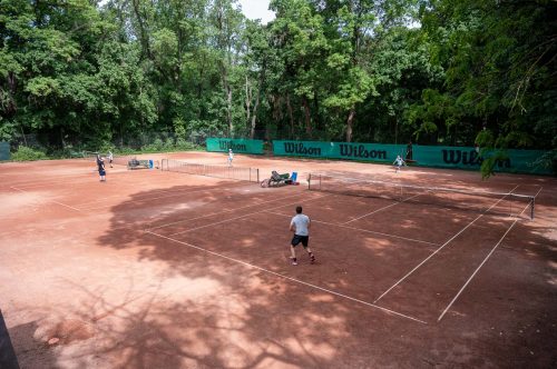 Tekintse meg galériánkat! (1/22)