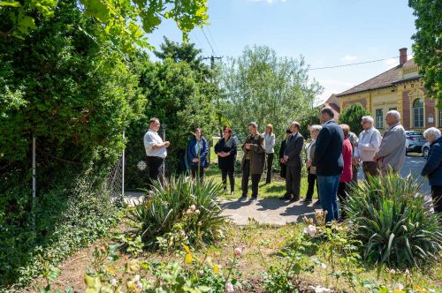 Tekintse meg galériánkat! (1/15)