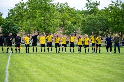 Tekintse meg galériánkat! (1/51)