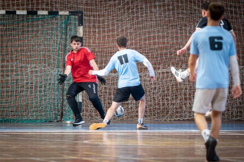 Tekintse meg galériánkat! (1/49)