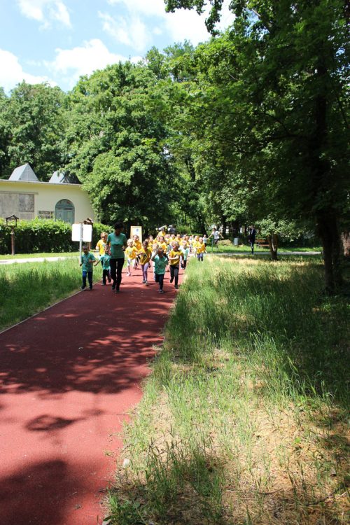 Tekintse meg galériánkat! (1/35)