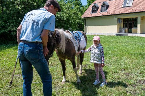 Tekintse meg galériánkat! (1/41)
