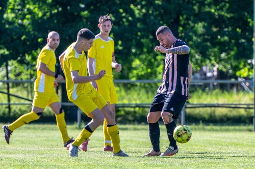 Tekintse meg galériánkat! (1/35)