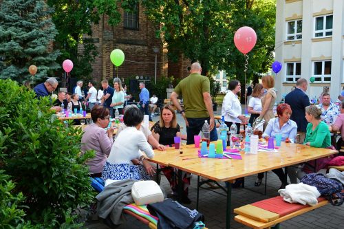 Tekintse meg galériánkat! (1/21)