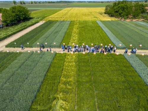 Tekintse meg galériánkat! (1/51)