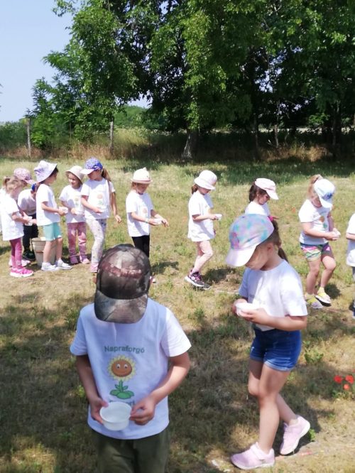 Tekintse meg galériánkat! (1/24)