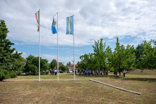 Tekintse meg galériánkat! (1/52)