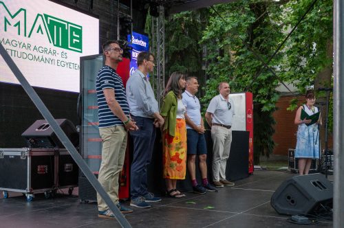 Tekintse meg galériánkat! (1/18)