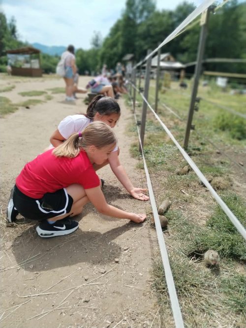 Tekintse meg galériánkat! (1/22)