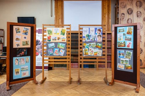 Tekintse meg galériánkat! (1/16)