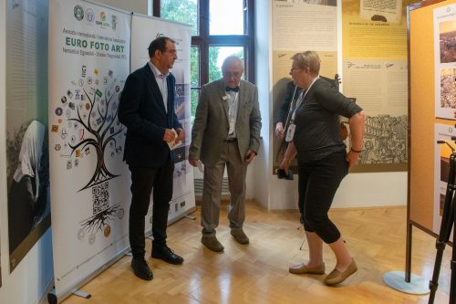 Tekintse meg galériánkat! (1/13)