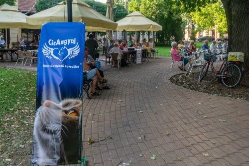 Tekintse meg galériánkat! (1/10)