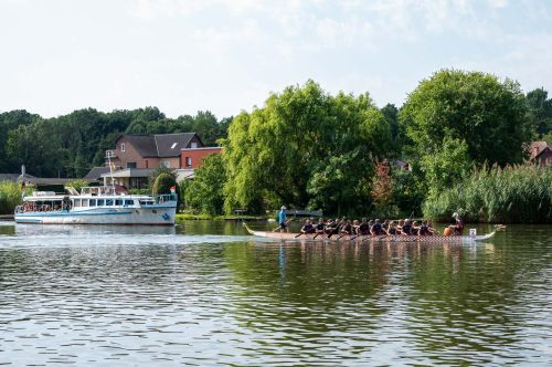 Tekintse meg galériánkat! (1/25)