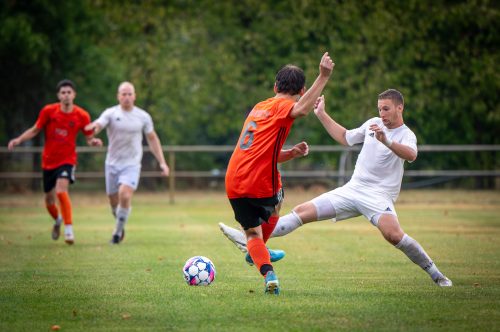 Tekintse meg galériánkat! (1/47)