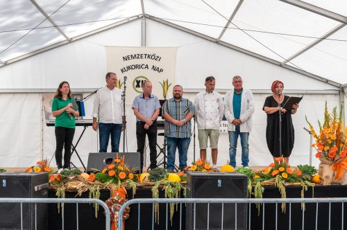 Tekintse meg galériánkat! (1/31)