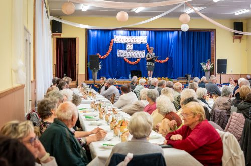 Tekintse meg galériánkat! (1/34)