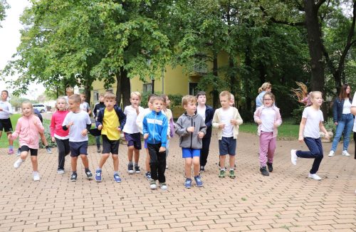 Tekintse meg galériánkat! (1/29)