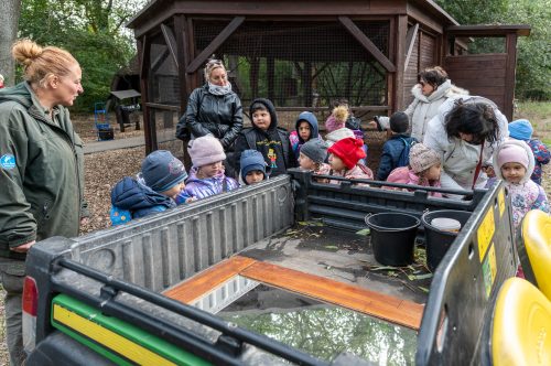 Tekintse meg galériánkat! (1/25)