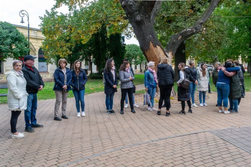 Tekintse meg galériánkat! (1/22)