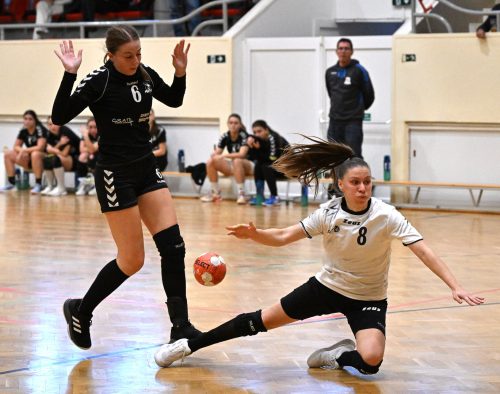 Tekintse meg galériánkat! (1/16)