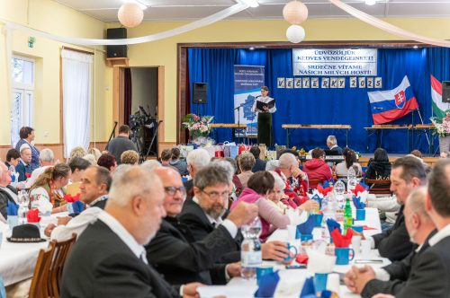 Tekintse meg galériánkat! (1/12)