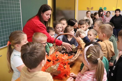 Tekintse meg galériánkat! (1/31)