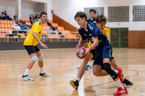 Tekintse meg galériánkat! (1/25)