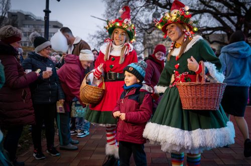 Tekintse meg galériánkat! (1/23)
