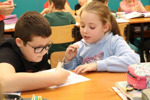 Tekintse meg galériánkat! (1/47)