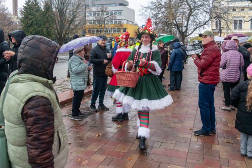 Tekintse meg galériánkat! (1/19)