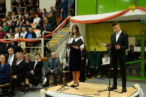 Tekintse meg galériánkat! (1/20)