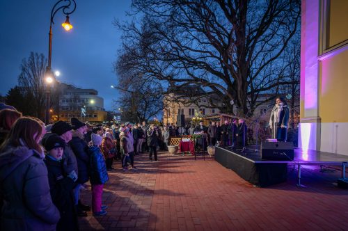 Tekintse meg galériánkat! (1/28)