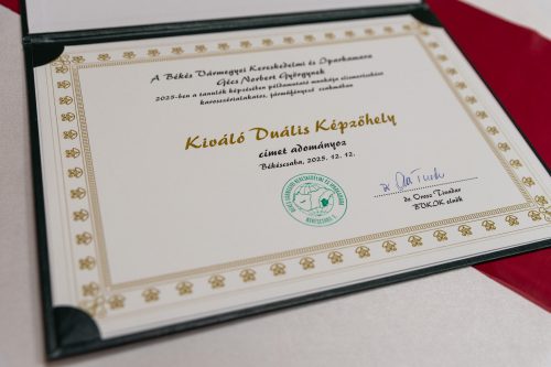 Tekintse meg galériánkat! (1/11)