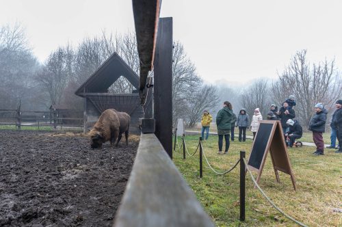 Tekintse meg galériánkat! (1/13)