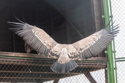 Tekintse meg galériánkat! (1/13)