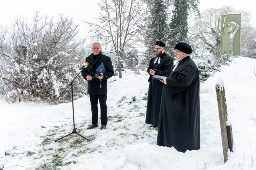 Tekintse meg galériánkat! (1/19)