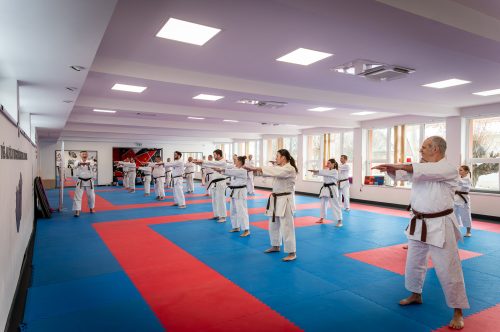 Tekintse meg galériánkat! (1/23)