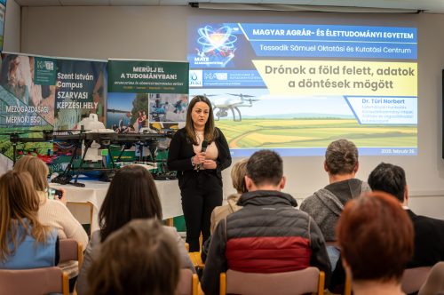 Tekintse meg galériánkat! (1/11)