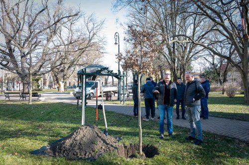 Tekintse meg galériánkat! (1/19)