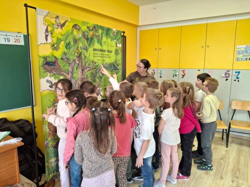 Tekintse meg galériánkat! (1/14)