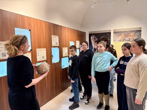 Tekintse meg galériánkat! (1/29)